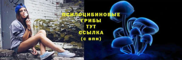 a pvp Карпинск