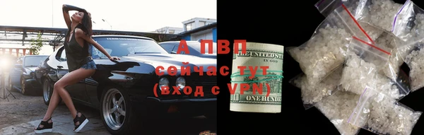 a pvp Карпинск