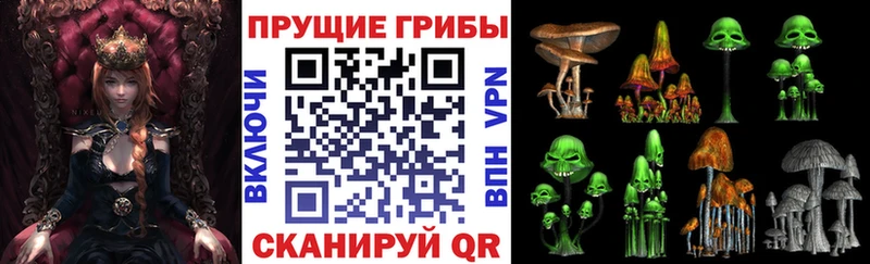 Купить  Красногорск  Псилоцибиновые грибы MAGIC MUSHROOMS 