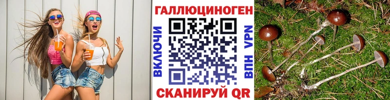 Галлюциногенные грибы Magic Shrooms Красногорск